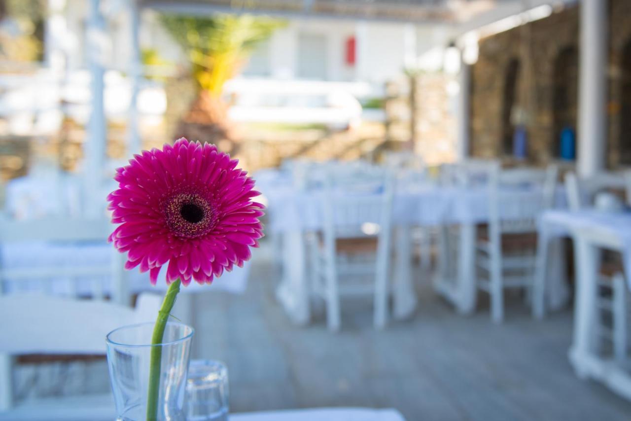 Villa Irini Platis Gialos  Dış mekan fotoğraf